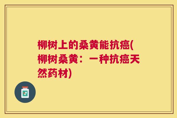 柳树上的桑黄能抗(柳树桑黄:一种抗天然药材) 柳树上的桑黄能抗(柳树桑黄:一种抗天然药材)