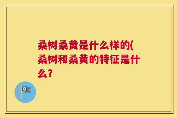 桑树桑黄是什么样的(桑树和桑黄的特征是什么? 桑树桑黄是什么样的(桑树和桑黄的特征是什么?