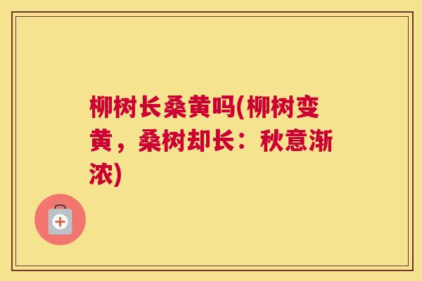 柳树长桑黄吗(柳树变黄,桑树却长:秋意渐浓) 柳树长桑黄吗(柳树变黄,桑树却长:秋意渐浓)
