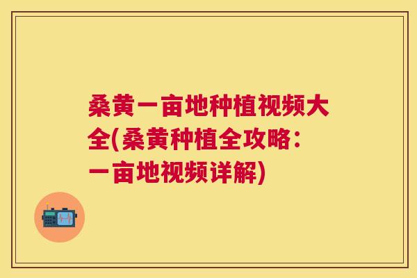 桑黄一亩地种植视频大全(桑黄种植全攻略:一亩地视频详解) 桑黄一亩地种植视频大全(桑黄种植全攻略:一亩地视频详解)