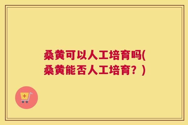 桑黄可以人工培育吗(桑黄能否人工培育?) 桑黄可以人工培育吗(桑黄能否人工培育?)