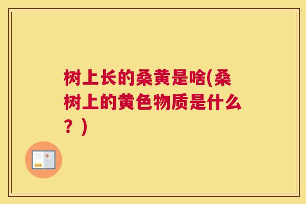树上长的桑黄是啥(桑树上的黄色物质是什么?) 树上长的桑黄是啥(桑树上的黄色物质是什么?)