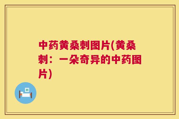 黄桑刺图片(黄桑刺:一朵奇异的图片) 黄桑刺图片(黄桑刺:一朵奇异的图片)
