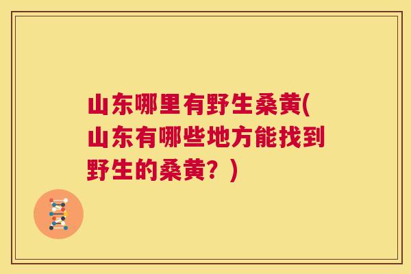 山东哪里有野生桑黄(山东有哪些地方能找到野生的桑黄?) 山东哪里有野生桑黄(山东有哪些地方能找到野生的桑黄?)