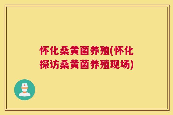 怀化桑黄菌养殖(怀化探访桑黄菌养殖现场) 怀化桑黄菌养殖(怀化探访桑黄菌养殖现场)