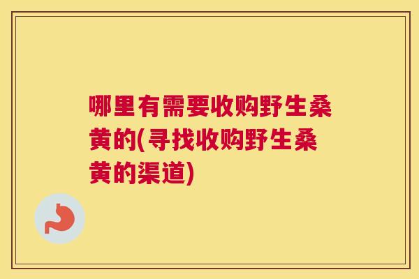 哪里有需要收购野生桑黄的(寻找收购野生桑黄的渠道) 哪里有需要收购野生桑黄的(寻找收购野生桑黄的渠道)