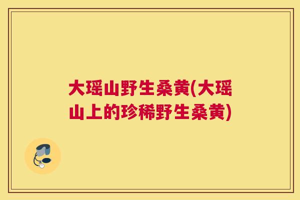 大瑶山野生桑黄(大瑶山上的珍稀野生桑黄) 大瑶山野生桑黄(大瑶山上的珍稀野生桑黄)