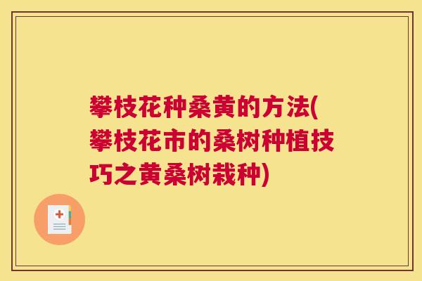 攀枝花种桑黄的方法(攀枝花市的桑树种植技巧之黄桑树栽种) 攀枝花种桑黄的方法(攀枝花市的桑树种植技巧之黄桑树栽种)