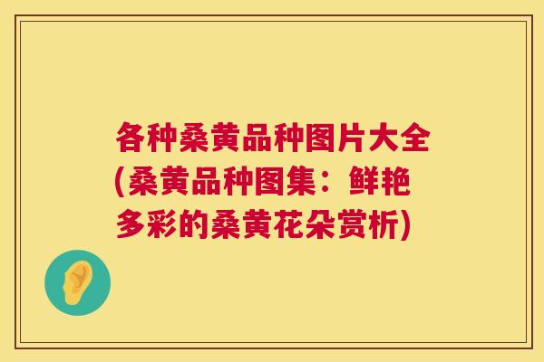 各种桑黄品种图片大全(桑黄品种图集:鲜艳多彩的桑黄花朵赏析) 各种桑黄品种图片大全(桑黄品种图集:鲜艳多彩的桑黄花朵赏析)