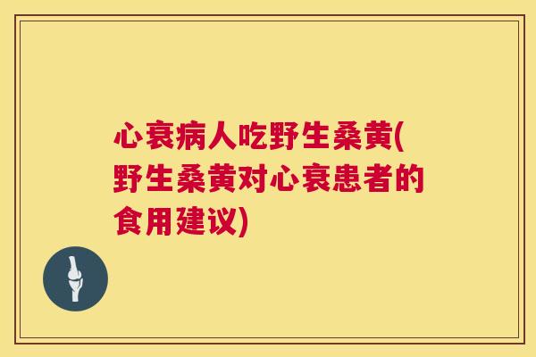 心衰人吃野生桑黄(野生桑黄对心衰患者的食用建议) 心衰人吃野生桑黄(野生桑黄对心衰患者的食用建议)