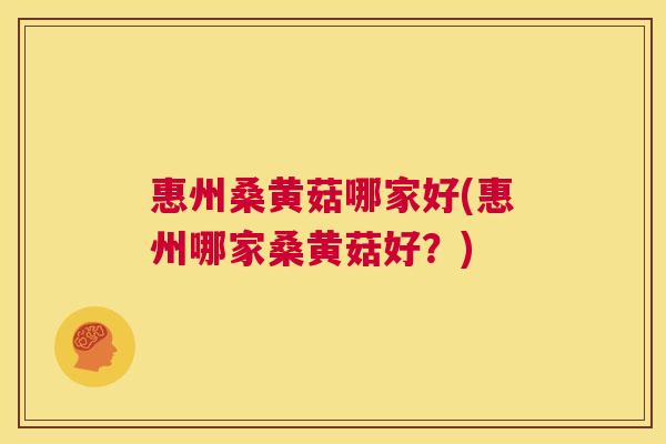 惠州桑黄菇哪家好(惠州哪家桑黄菇好?) 惠州桑黄菇哪家好(惠州哪家桑黄菇好?)