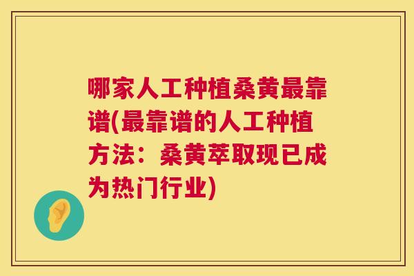 哪家人工种植桑黄靠谱(靠谱的人工种植方法:桑黄萃取现已成为热门行业) 哪家人工种植桑黄靠谱(靠谱的人工种植方法:桑黄萃取现已成为热门行业)