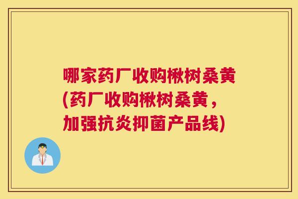 哪家药厂收购楸树桑黄(药厂收购楸树桑黄,加强抑菌产品线) 哪家药厂收购楸树桑黄(药厂收购楸树桑黄,加强抑菌产品线)