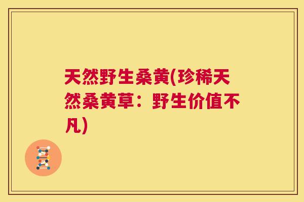 天然野生桑黄(珍稀天然桑黄草:野生价值不凡) 天然野生桑黄(珍稀天然桑黄草:野生价值不凡)