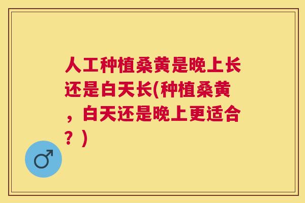 人工种植桑黄是晚上长还是白天长(种植桑黄,白天还是晚上更适合?) 人工种植桑黄是晚上长还是白天长(种植桑黄,白天还是晚上更适合?)