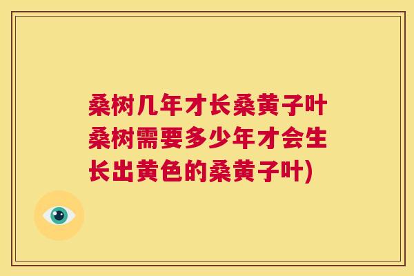 桑树几年才长桑黄子叶桑树需要多少年才会生长出黄色的桑黄子叶) 桑树几年才长桑黄子叶桑树需要多少年才会生长出黄色的桑黄子叶)