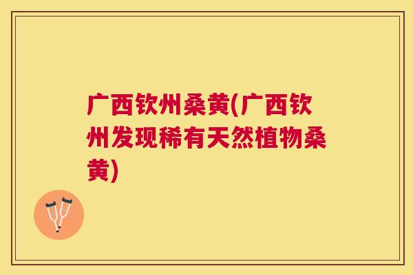 广西钦州桑黄(广西钦州发现稀有天然植物桑黄) 广西钦州桑黄(广西钦州发现稀有天然植物桑黄)