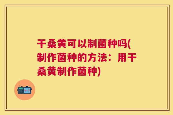 干桑黄可以制菌种吗(制作菌种的方法:用干桑黄制作菌种) 干桑黄可以制菌种吗(制作菌种的方法:用干桑黄制作菌种)