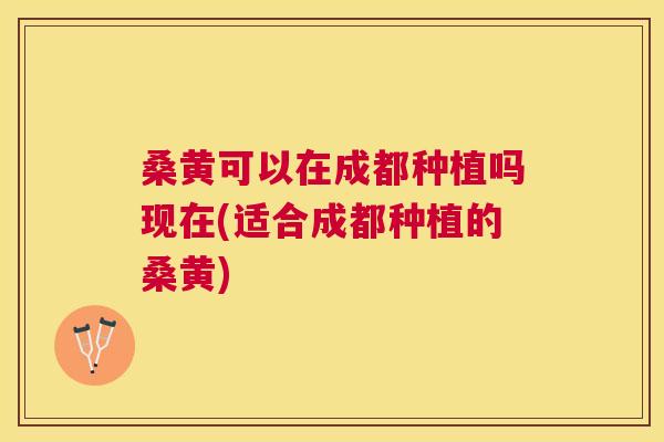桑黄可以在成都种植吗现在(适合成都种植的桑黄) 桑黄可以在成都种植吗现在(适合成都种植的桑黄)