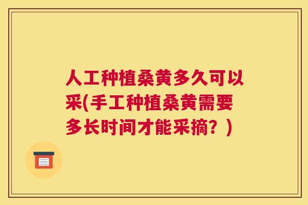 人工种植桑黄多久可以采(手工种植桑黄需要多长时间才能采摘?) 人工种植桑黄多久可以采(手工种植桑黄需要多长时间才能采摘?)