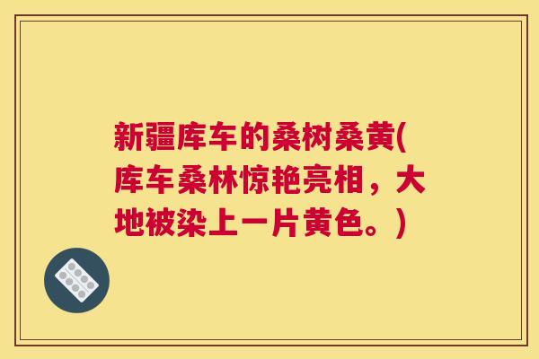 新疆库车的桑树桑黄(库车桑林惊艳亮相,大地被染上一片黄色。) 新疆库车的桑树桑黄(库车桑林惊艳亮相,大地被染上一片黄色。)