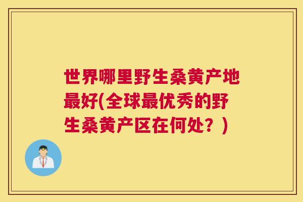 世界哪里野生桑黄产地好(全球优秀的野生桑黄产区在何处?) 世界哪里野生桑黄产地好(全球优秀的野生桑黄产区在何处?)