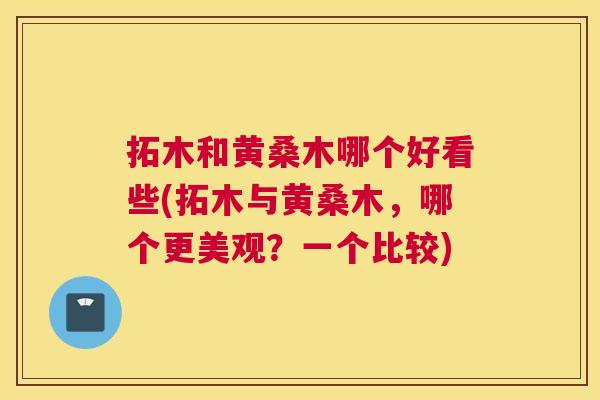 拓木和黄桑木哪个好看些(拓木与黄桑木,哪个更美观?一个比较) 拓木和黄桑木哪个好看些(拓木与黄桑木,哪个更美观?一个比较)