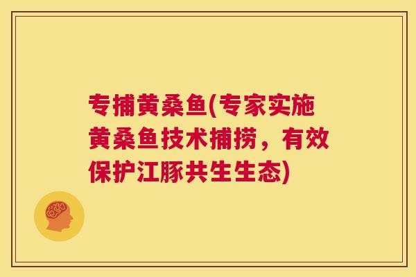 专捕黄桑鱼(专家实施黄桑鱼技术捕捞,有效保护江豚共生生态) 专捕黄桑鱼(专家实施黄桑鱼技术捕捞,有效保护江豚共生生态)