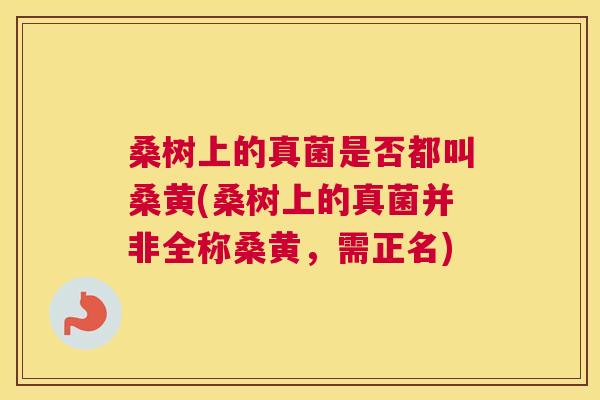 桑树上的真菌是否都叫桑黄(桑树上的真菌并非全称桑黄,需正名) 桑树上的真菌是否都叫桑黄(桑树上的真菌并非全称桑黄,需正名)