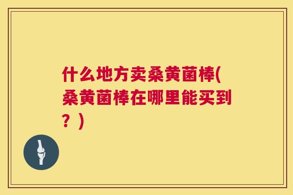 什么地方卖桑黄菌棒(桑黄菌棒在哪里能买到?) 什么地方卖桑黄菌棒(桑黄菌棒在哪里能买到?)