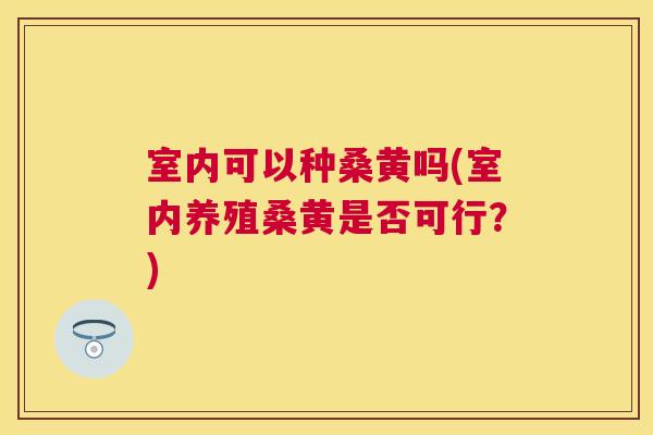 室内可以种桑黄吗(室内养殖桑黄是否可行?) 室内可以种桑黄吗(室内养殖桑黄是否可行?)