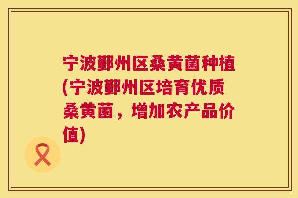 宁波鄞州区桑黄菌种植(宁波鄞州区培育优质桑黄菌,增加农产品价值) 宁波鄞州区桑黄菌种植(宁波鄞州区培育优质桑黄菌,增加农产品价值)