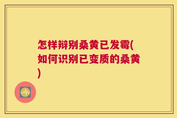 怎样辩别桑黄已发霉(如何识别已变质的桑黄) 怎样辩别桑黄已发霉(如何识别已变质的桑黄)