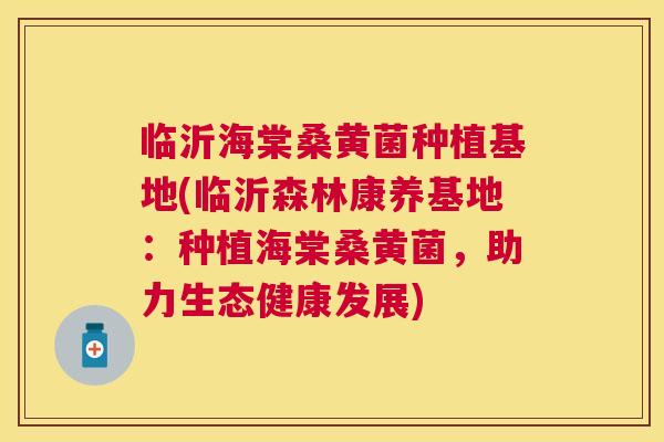 临沂海棠桑黄菌种植基地(临沂森林康养基地:种植海棠桑黄菌,助力生态健康发展) 临沂海棠桑黄菌种植基地(临沂森林康养基地:种植海棠桑黄菌,助力生态健康发展)