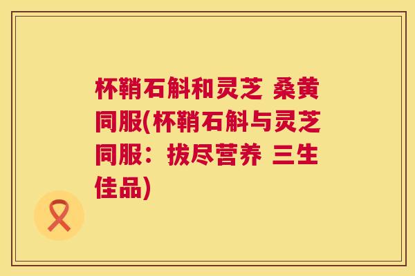 杯鞘石斛和灵芝 桑黄同服(杯鞘石斛与灵芝同服:拔尽营养 三生佳品) 杯鞘石斛和灵芝 桑黄同服(杯鞘石斛与灵芝同服:拔尽营养 三生佳品)