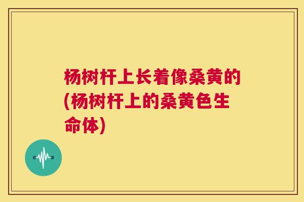 杨树杆上长着像桑黄的(杨树杆上的桑黄色生命体) 杨树杆上长着像桑黄的(杨树杆上的桑黄色生命体)