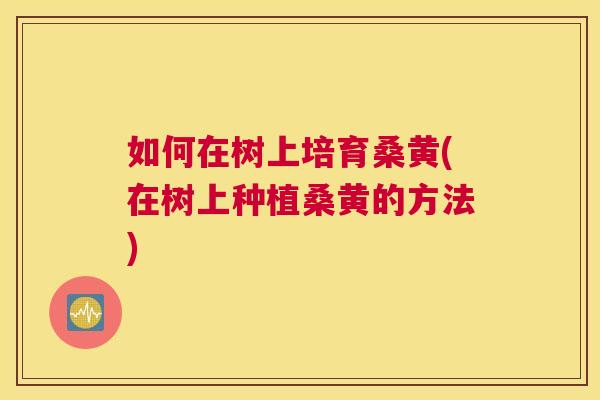 如何在树上培育桑黄(在树上种植桑黄的方法) 如何在树上培育桑黄(在树上种植桑黄的方法)