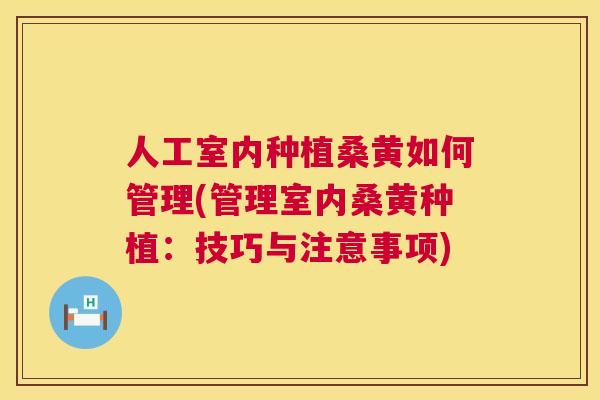 人工室内种植桑黄如何管理(管理室内桑黄种植：技巧与注意事项)