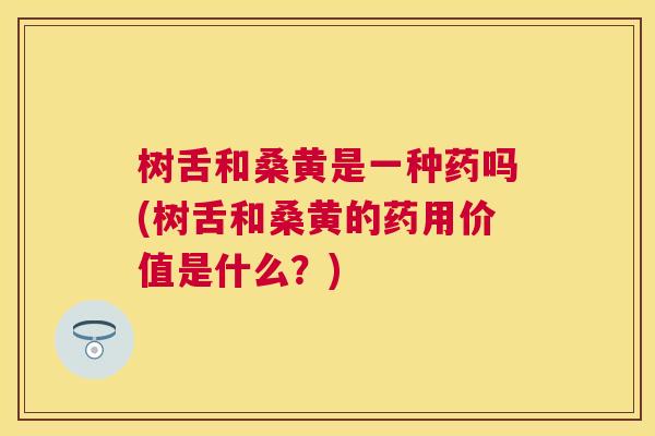 树舌和桑黄是一种药吗(树舌和桑黄的药用价值是什么?) 树舌和桑黄是一种药吗(树舌和桑黄的药用价值是什么?)