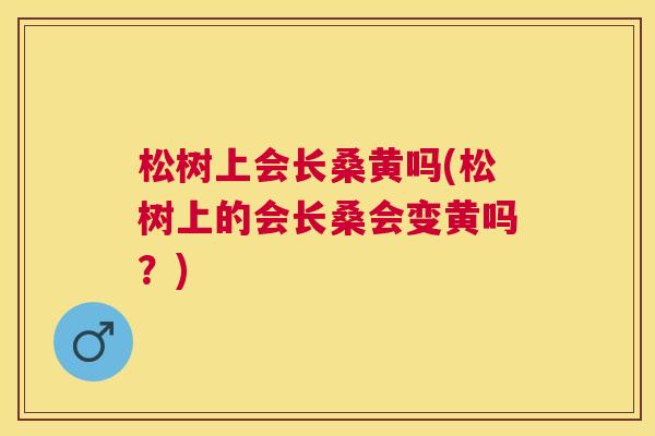 松树上会长桑黄吗(松树上的会长桑会变黄吗?) 松树上会长桑黄吗(松树上的会长桑会变黄吗?)