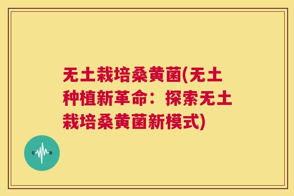 无土栽培桑黄菌(无土种植新革命：探索无土栽培桑黄菌新模式)