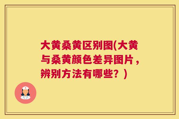 大黄桑黄区别图(大黄与桑黄颜色差异图片,辨别方法有哪些?) 大黄桑黄区别图(大黄与桑黄颜色差异图片,辨别方法有哪些?)