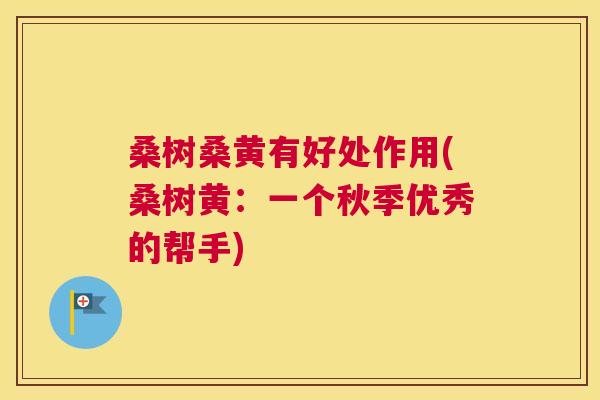 桑树桑黄有好处作用(桑树黄：一个秋季优秀的帮手)