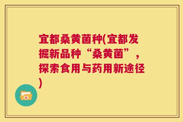 宜都桑黄菌种(宜都发掘新品种“桑黄菌”,探索食用与药用新途径) 宜都桑黄菌种(宜都发掘新品种“桑黄菌”,探索食用与药用新途径)