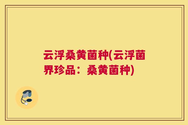 云浮桑黄菌种(云浮菌界珍品:桑黄菌种) 云浮桑黄菌种(云浮菌界珍品:桑黄菌种)