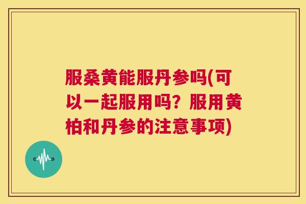 服桑黄能服丹参吗(可以一起服用吗?服用黄柏和丹参的注意事项) 服桑黄能服丹参吗(可以一起服用吗?服用黄柏和丹参的注意事项)