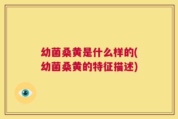 幼菌桑黄是什么样的(幼菌桑黄的特征描述) 幼菌桑黄是什么样的(幼菌桑黄的特征描述)