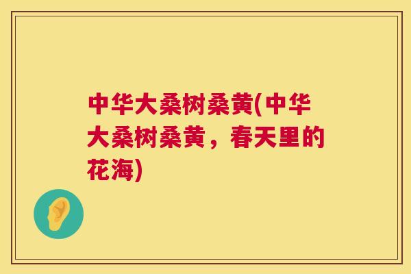 中华大桑树桑黄(中华大桑树桑黄,春天里的花海) 中华大桑树桑黄(中华大桑树桑黄,春天里的花海)