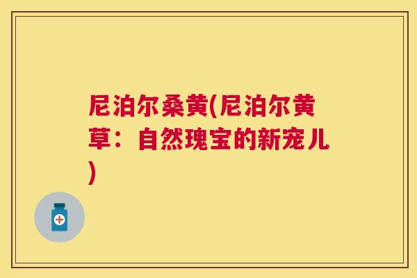尼泊尔桑黄(尼泊尔黄草:自然瑰宝的新宠儿) 尼泊尔桑黄(尼泊尔黄草:自然瑰宝的新宠儿)