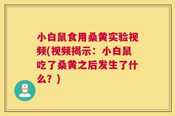 小白鼠食用桑黄实验视频(视频揭示:小白鼠吃了桑黄之后发生了什么?) 小白鼠食用桑黄实验视频(视频揭示:小白鼠吃了桑黄之后发生了什么?)